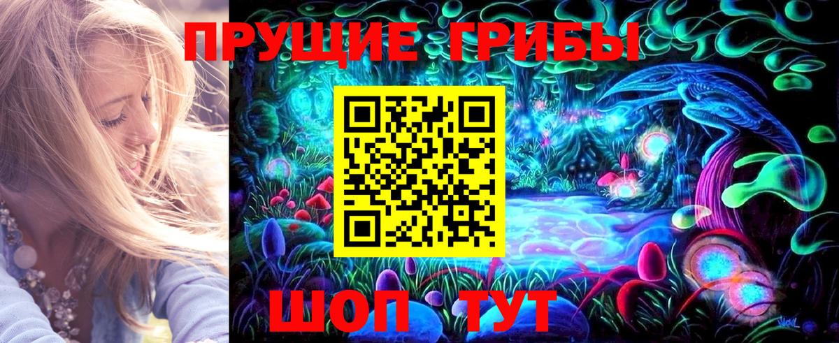 Псилоцибиновые грибы Psilocybine cubensis Коммунар